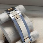 Two-Tone Luxury Dive Watch