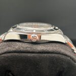 Tudor crown and case side stainless steel detail