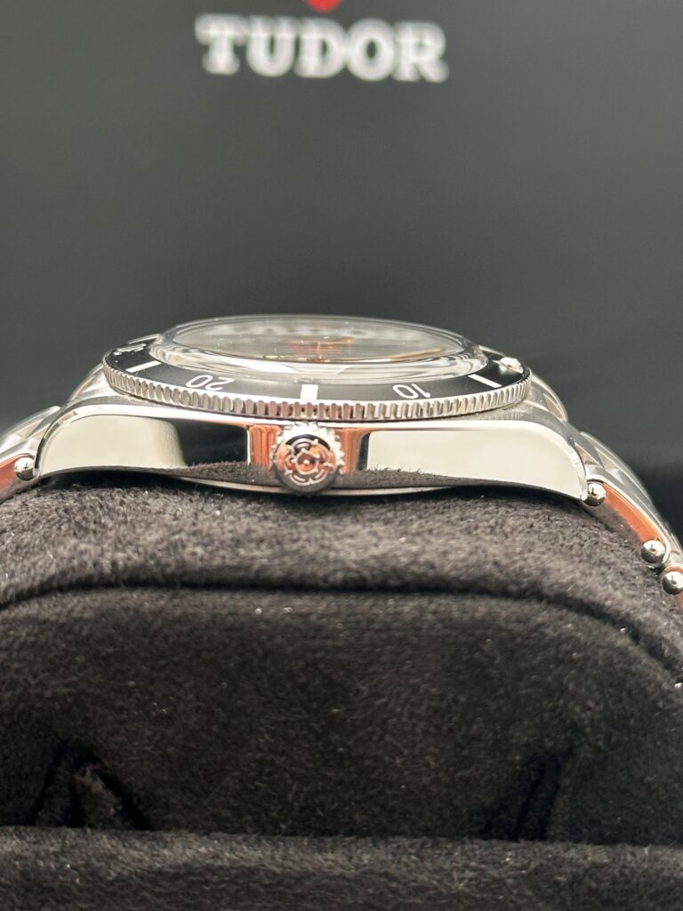 Tudor crown and case side stainless steel detail